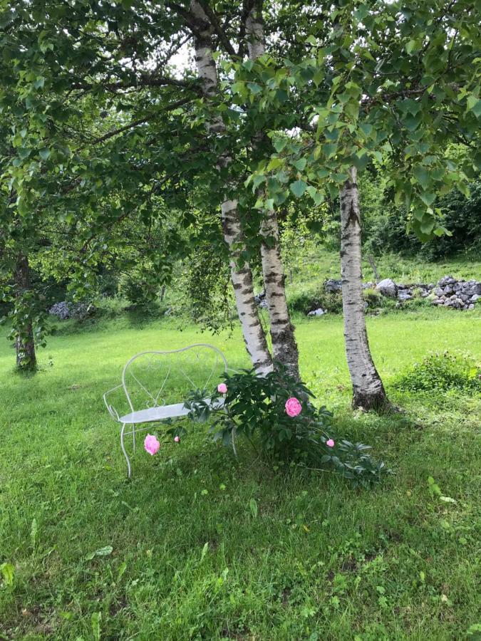 Village Vacances Le Grepillon Les Rousses Eksteriør billede