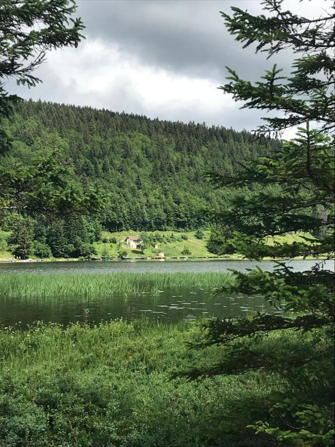 Village Vacances Le Grepillon Les Rousses Eksteriør billede